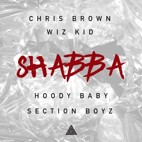 Chris Brown ft Wizkid Shabba