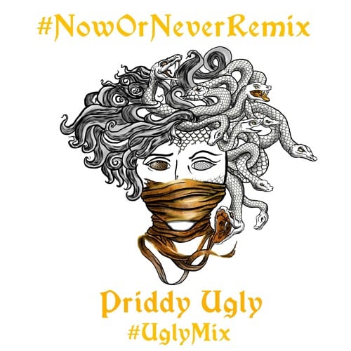 Priddy Ugly Now or Never Remix