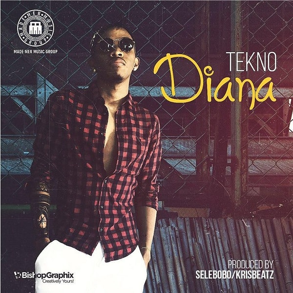 Download Mp3 Tekno Diana Prod Selebobo Krizbeatz