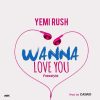 Yemi Rush Wanna Love You