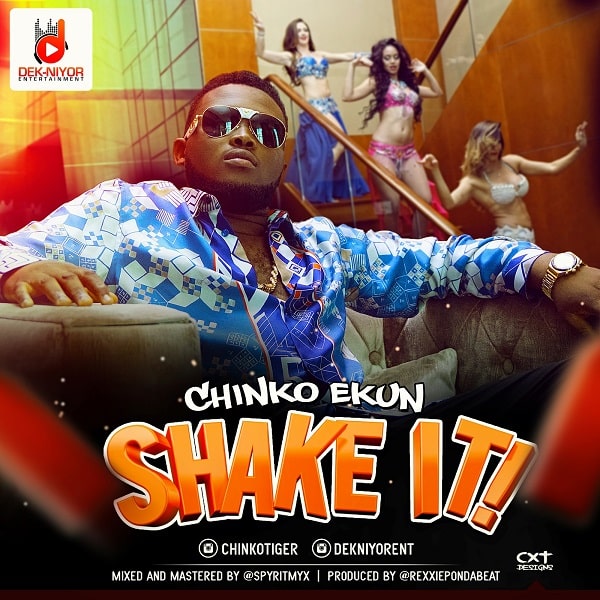 Chinko Ekun Shake It