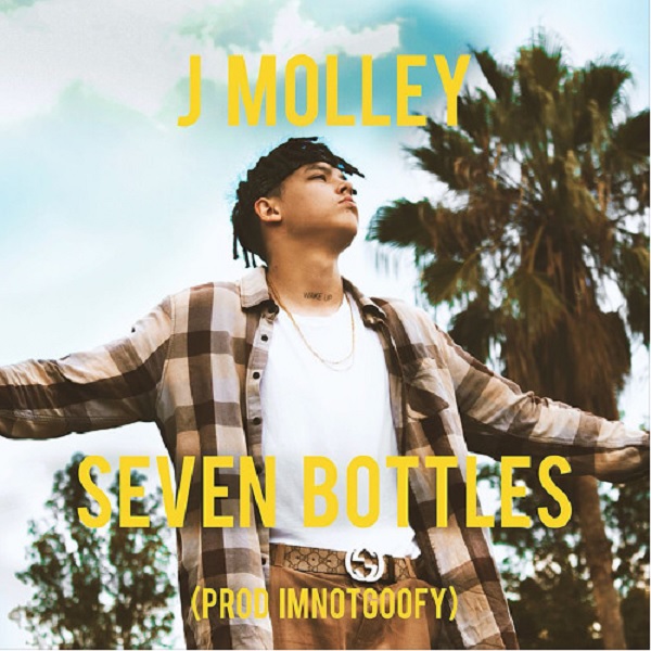 J Molley Seven Bottles Artwork