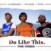 DJ Consequence Do Like This Video