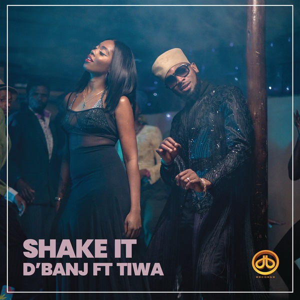 Download mp3 D'Banj Shake It ft Tiwa Savage mp3 download