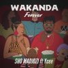 Download mp3 Sho Madjozi ft Ycee Wakanda Forever mp3 download