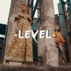 Krizbeatz Level Video