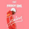 Fireboy Jealous