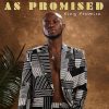 King Promise As Promised