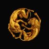 Beyoncé The Lion King (The Gift) Album