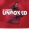 DJ Fortee Lighter