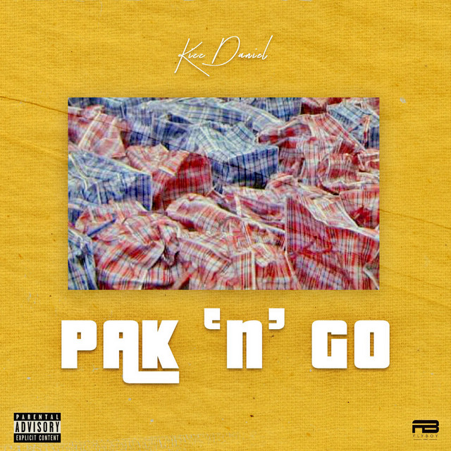 Kizz Daniel Pak n Go Artwork