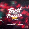 DJ Consequence Trust The Process Mixtape