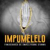 Fanzo – Impumelelo ft. Kabza De Small & Young Stunna