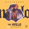 Daliwonga – Abo Mvelo ft. M.J, Mellow & Sleazy