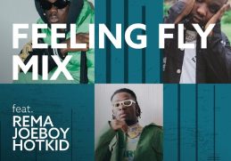 Download Feeling Fly Mix ft. Rema, Joeboy, Hotkid on Mdundo