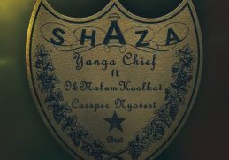 Yanga Chief – Shaza ft. Okmalumkoolkat & Cassper Nyovest