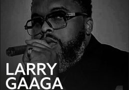 Download 100% Larry Gaaga Mix on Mdundo