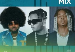 Download Party Mix ft Skiiibii, Crayon, Young Jonn on Mdundo