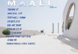 Shatta Wale – Mansa Musa Money ft. Vybz Kartel