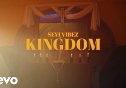 Seyi Vibez Kingdom Video