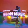 Shallipopi Elon Musk (Remix) Video
