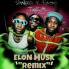 Shallipopi – Elon Musk (Remix) ft. Zlatan, Fireboy DML (Lyrics)
