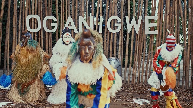 Zlatan Oganigwe Video