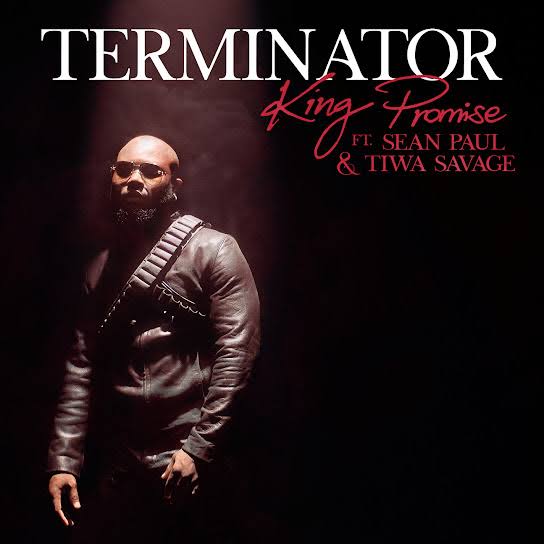 King Promise Terminator Remix