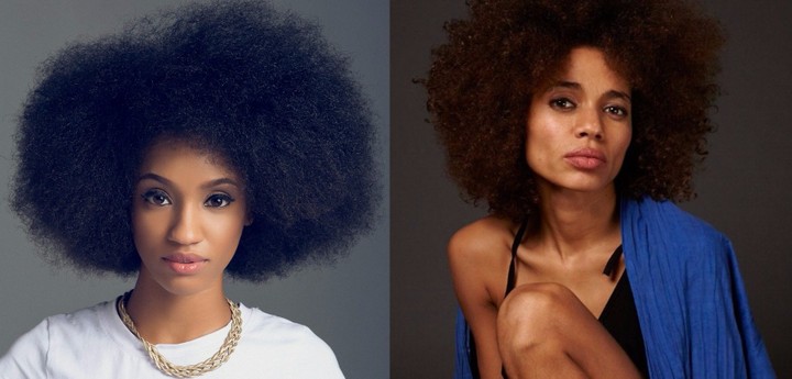 Di'ja and Nneka resemblance 