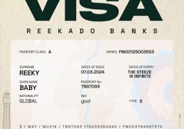 Reekado Banks Visa
