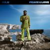 Juls Peace and Love Album