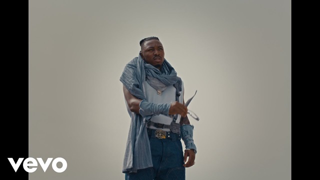 Mayorkun Reason 2 Japa Video