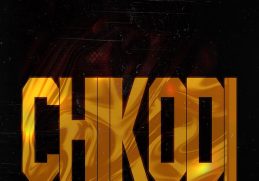 BoyPee Chikodi