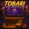 D'banj Tobari