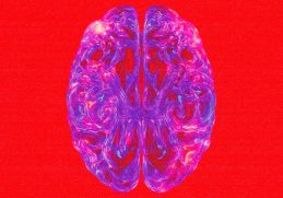 Fireboy DML Dopamine
