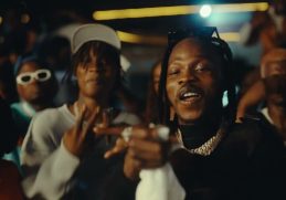 Naira Marley Cartoon Video