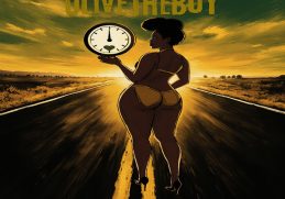 Olivetheboy Spidomita