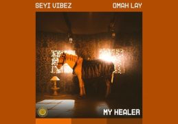 Seyi Vibez MY HEALER