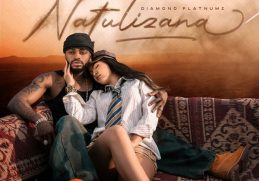 Diamond Platnumz Natulizana