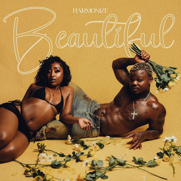 Harmonize Beautiful