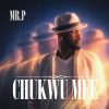 Mr P Chukwu Mme